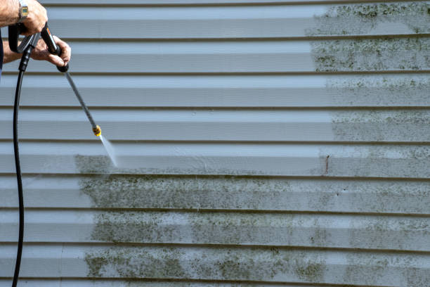 Best Attic Cleanout  in Ambridge, PA